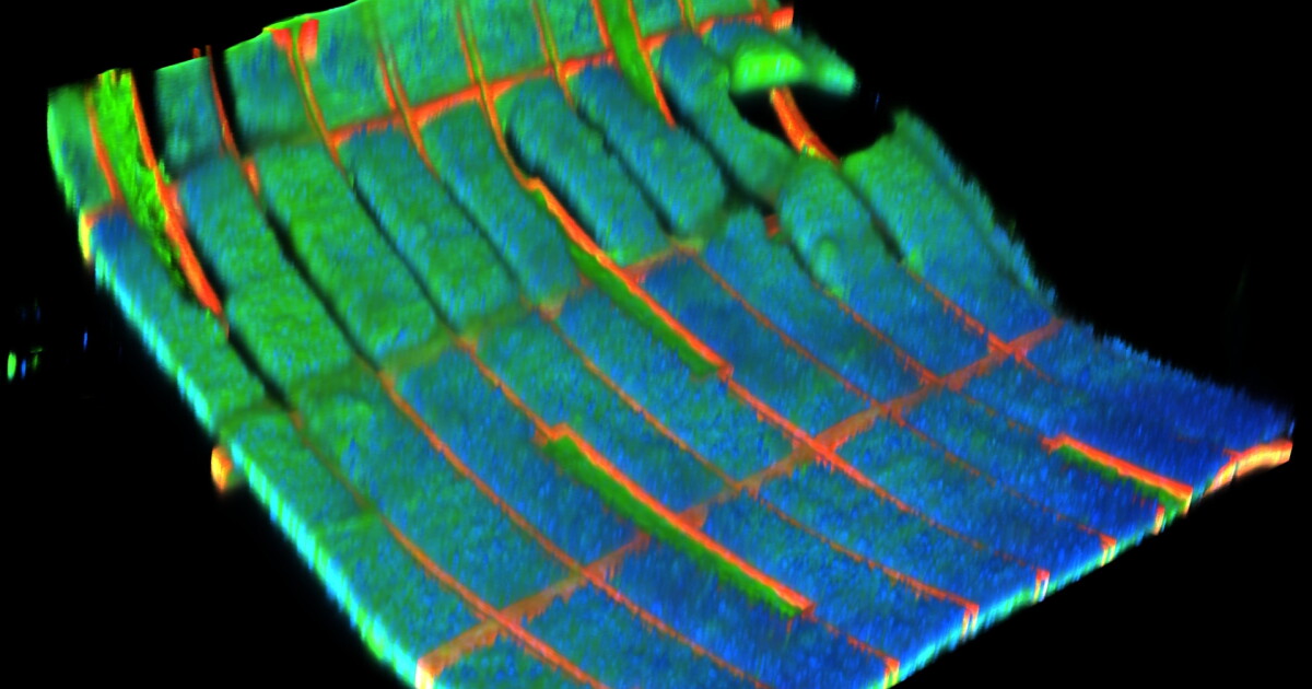 Bio-hybrid harvester generates electricity from human cells