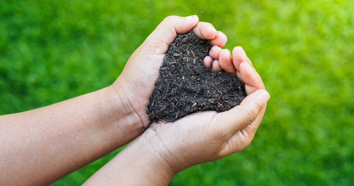 Human composting becomes legal as garden-variety burial demand surges