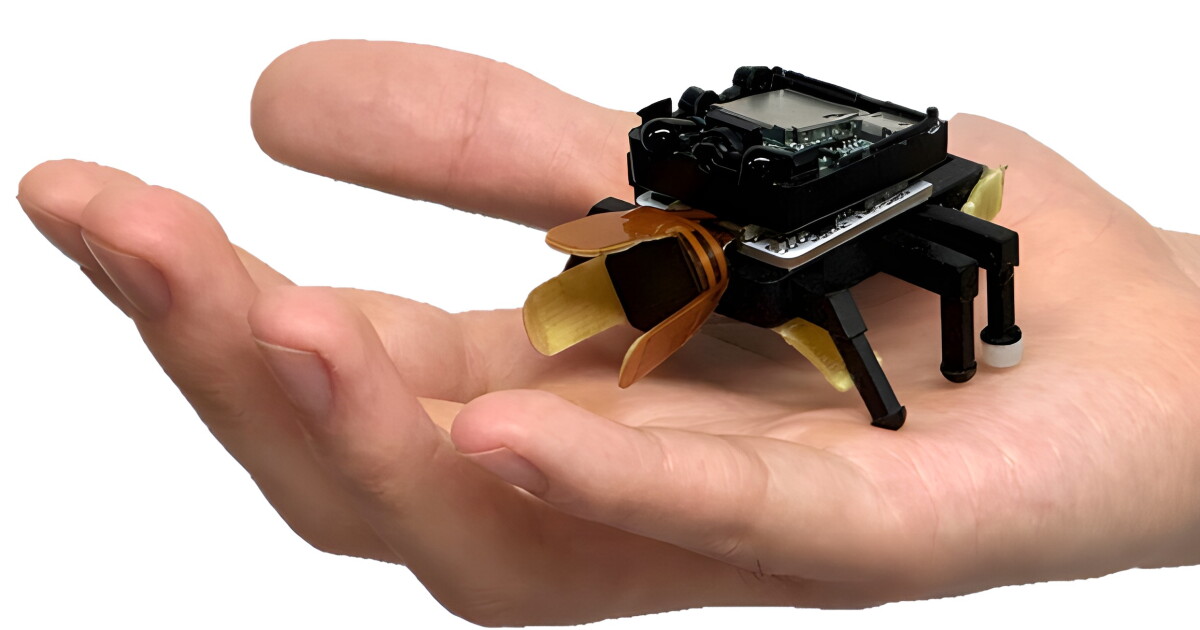 Finger-controlled robotic beetle sports artificial muscles and two-way feedback
