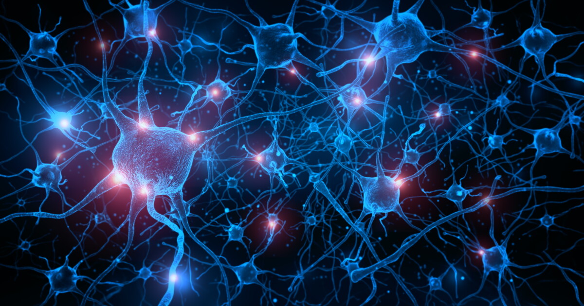 Living computers forge a ‘hive mind’ and work together to outsmart AI