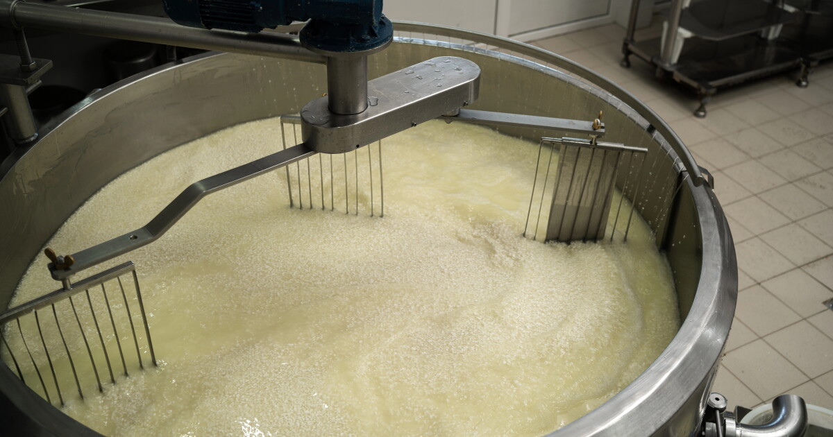 Dairy waste could be a sweet new source of biofuel