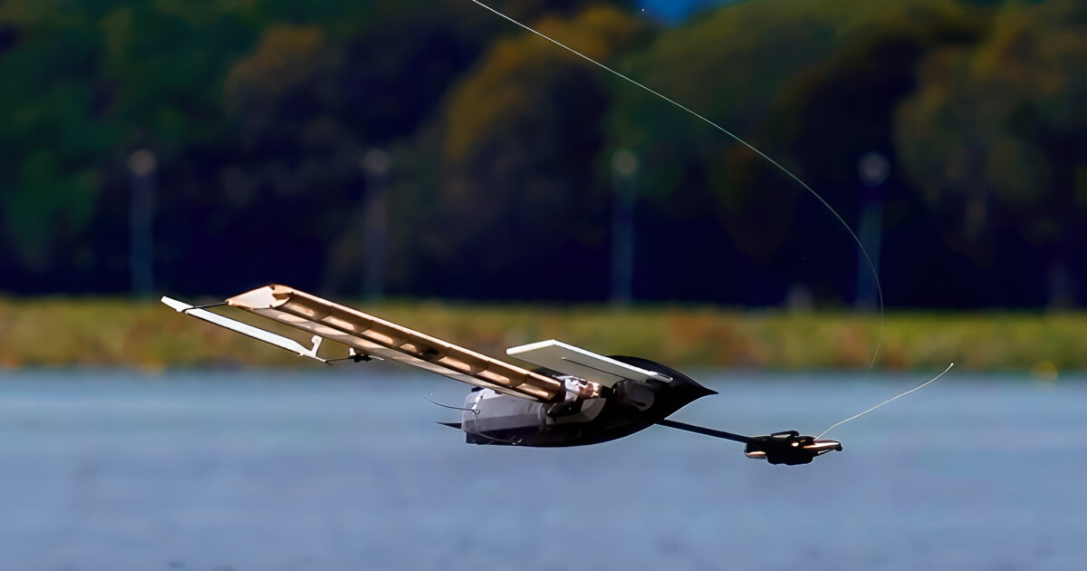 Bioinspired robot airdrops into remote waters via morphing wing-sail
