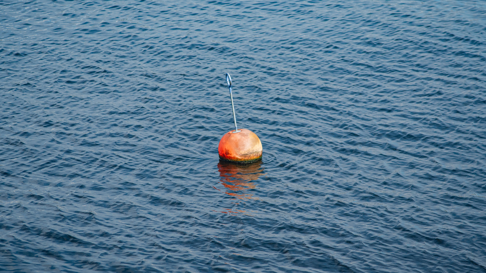 Do Buoys Have Anchors? Here’s How They Stay In Place – SlashGear
