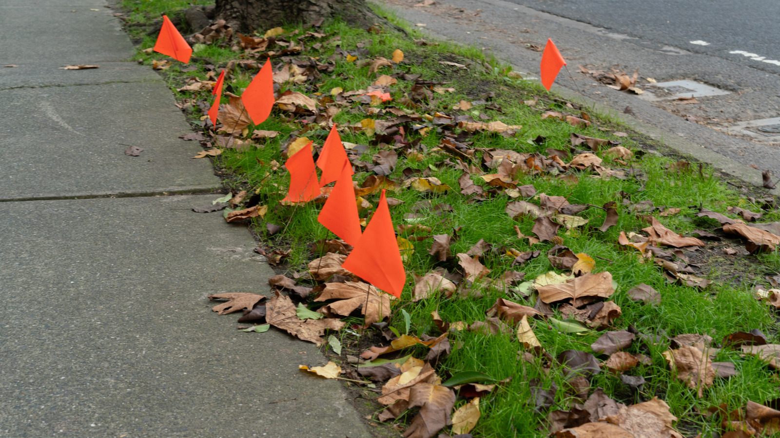 What Do Orange Flags On The Side Of The Road Mean? – SlashGear