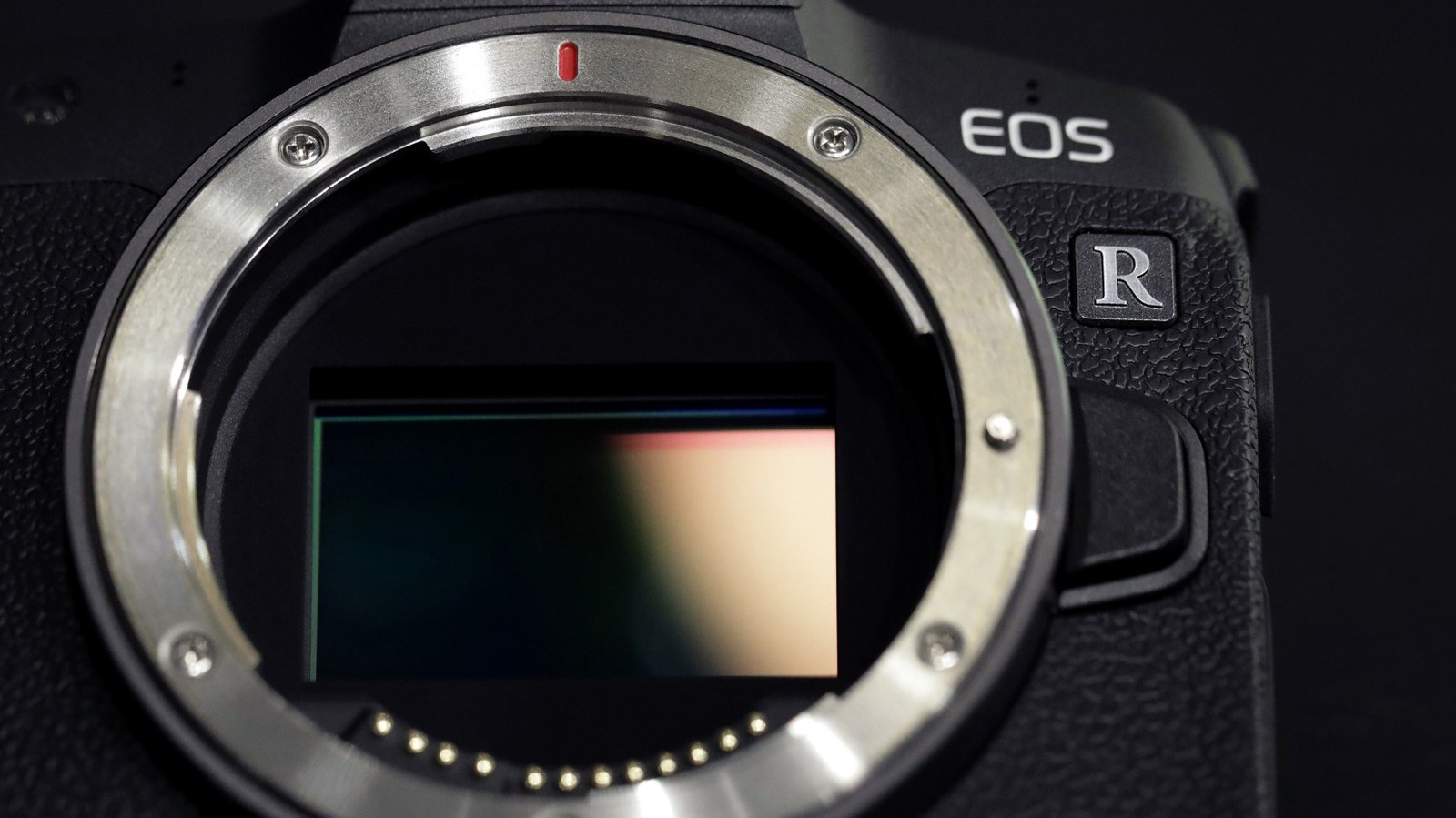 What Is A Cropped-Sensor Camera, And How Is It Different From Full Frame? – SlashGear