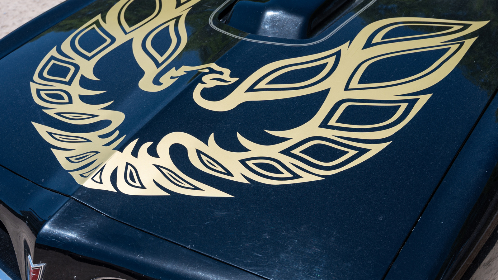 What The Bird On The Pontiac Trans Am’s Hood Is Actually Called – CarScoops