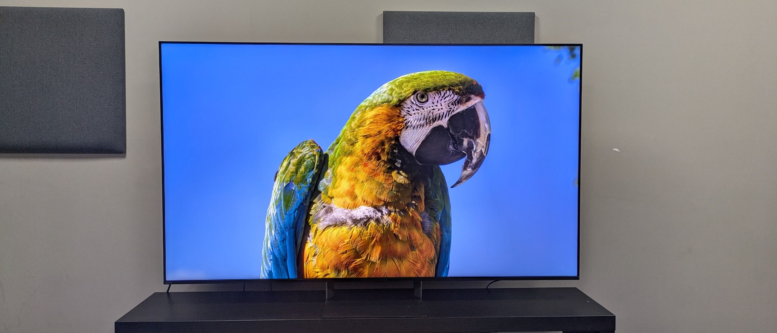 ‘A showcase for RGB TVs’: I reviewed the Sony Bravia 9 II, and it’s my favorite mini-LED TV of the year, beating Hisense and Samsung