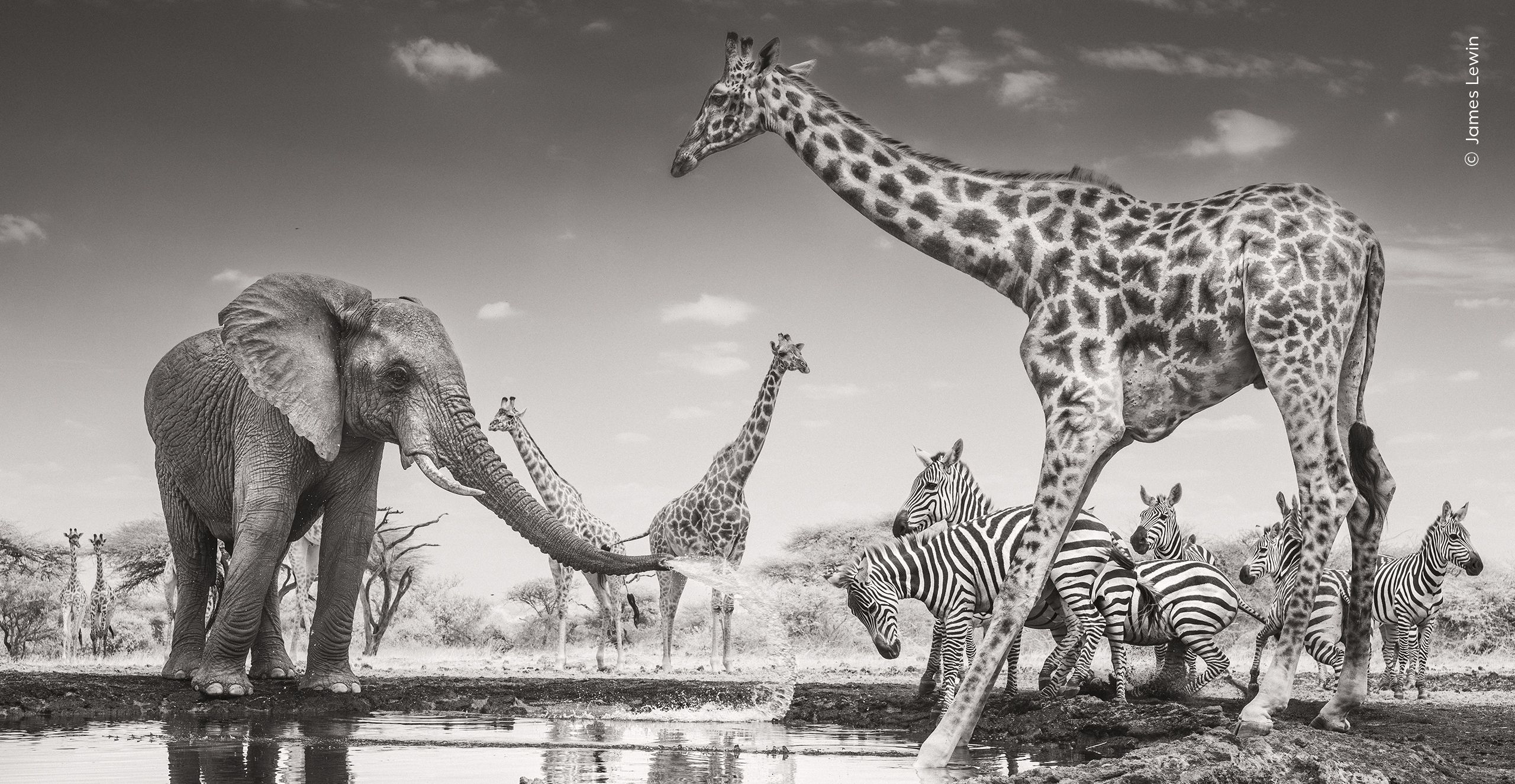 Exclusive: ‘When the best light is gone, that’s just the beginning’ — Wildlife Photographer of the Year 2026 winner explains his unusual choice of camera gear