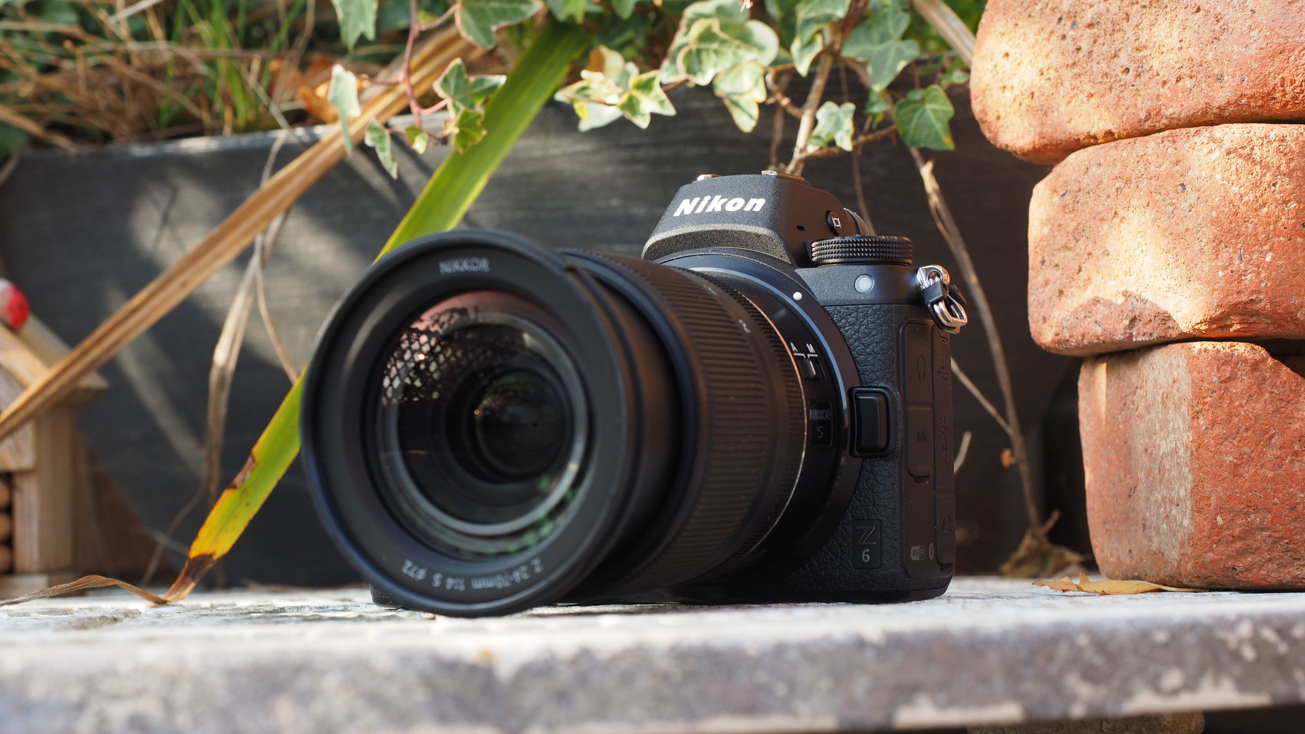 Why 8-year-old Nikon Z6 is trending after the Z5IIC camera launch – it makes total sense