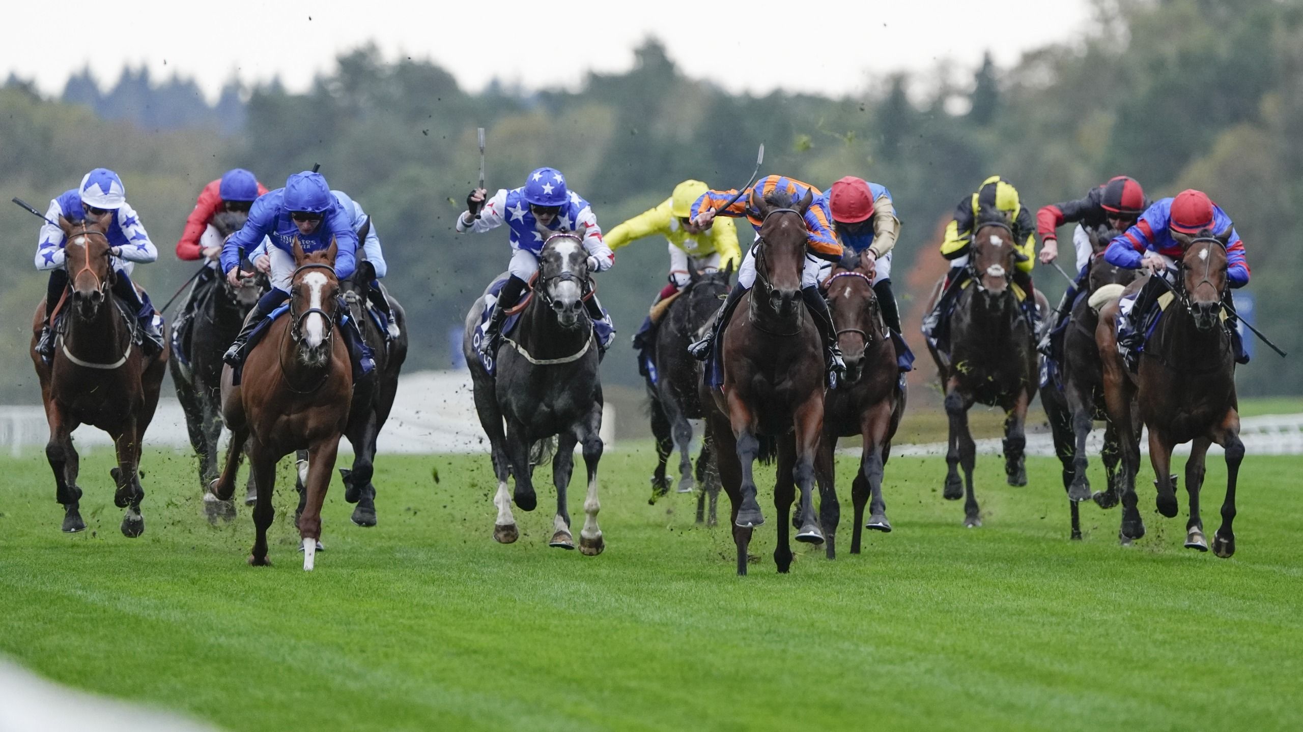 How to watch British Champions Day 2026: FREE live streams, schedule, TV channels for huge horse racing meeting