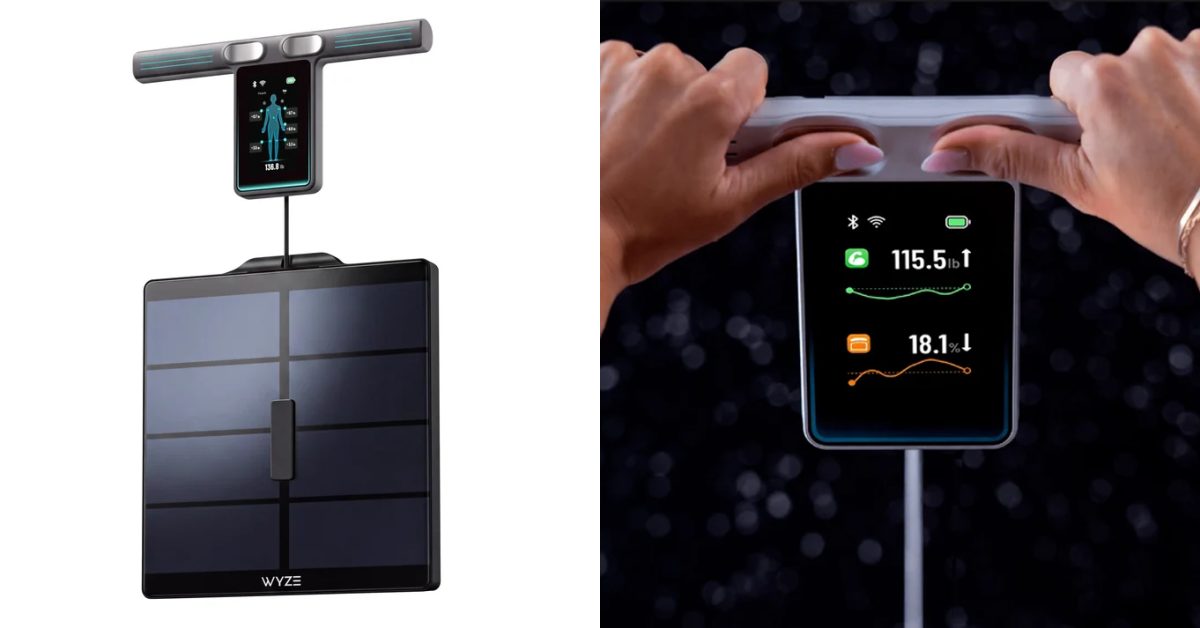 Wyze’s latest weight scale has a display you can actually see, Google Health sync