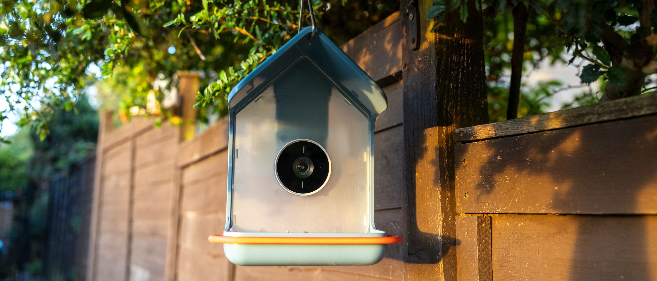 I’ve tested dozens of bird feeder cameras, and the Bird Buddy 2 is one of the most polished yet — its 2K video and endearing app are a joy